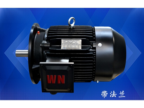 10 多(duō)級泵專用電機(jī)（1）