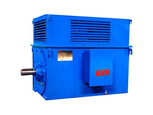 8 Y系列中型高(gāo)壓高效電動機