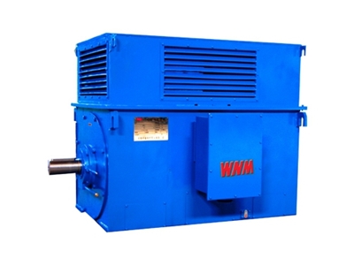 Y系列中型高(gao)壓高效電動機(jī)