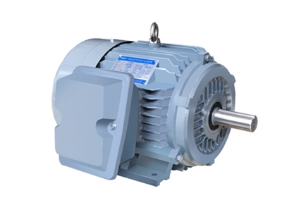 NE系列(liè)高效高轉矩三(san)相異步電動機(ji)