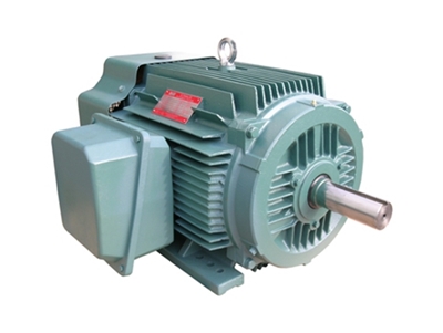 NEP系(xì)列超高效率三(sān)相異步電動機(jī)