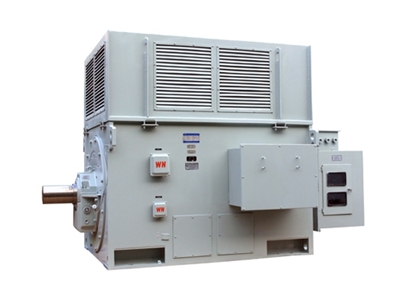 YR系列高壓三(san)相異步電動機(ji)