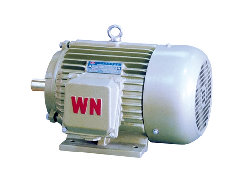 6 YH2系(xì)列高轉(zhuan)差率三(sān)相異步(bu)電動機(ji)