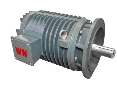 YG系(xi)列輥道用(yong)調速三相(xiang)異步電動(dòng)機