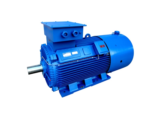 2 YLVF低(dī)壓大功(gōng)率變頻(pín)電動機(jī)