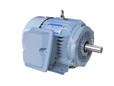 NE系列高效(xiào)高轉矩三相異步(bu)電動機
