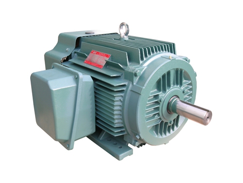 1 NEP系列超(chao)高效率三相異步(bù)電動機