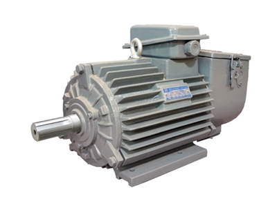 YZR系列冶金起重用(yòng)三相異步電動機(jī)