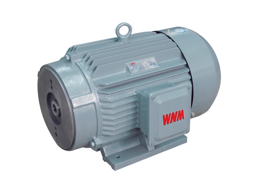 1 YYB系列油(yóu)泵專用三相(xiang)異步電動機(ji)