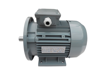 YXL系列開(kai)門空壓(yā)機用電(diàn)機