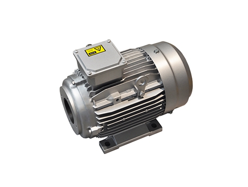 1 YYVF2系列(lie)新能源汽車助(zhù)力轉向泵電機(jī)