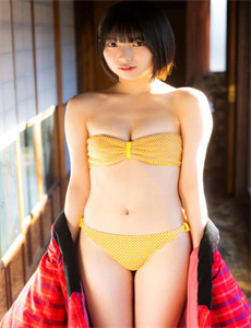 夏威夷特勤组第十季