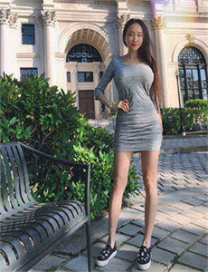 轮回2011