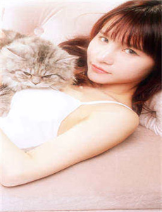 幕后杀手2003
