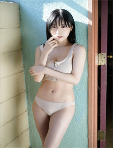 新碧血剑